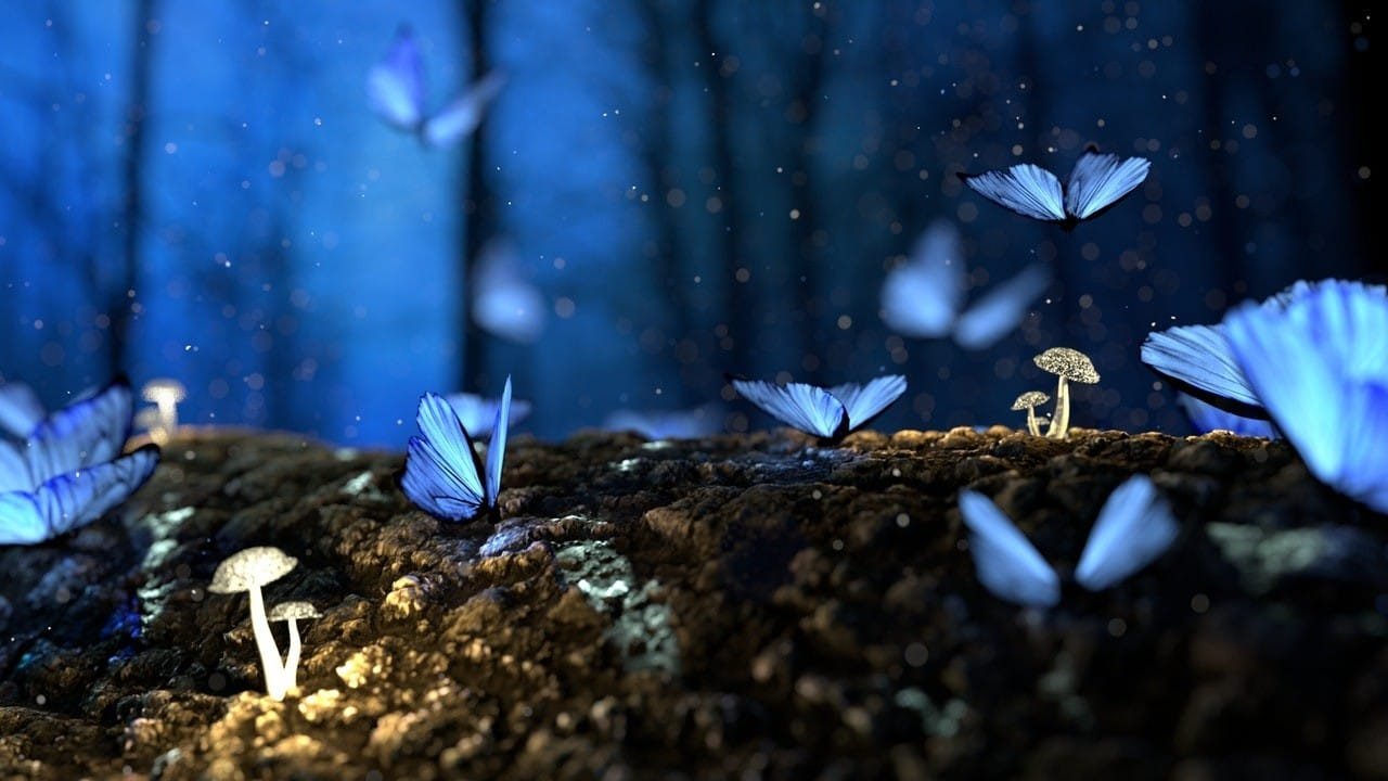 blog_s_4_5